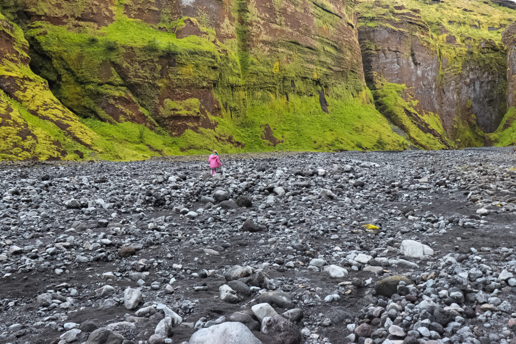 A young girl walks in an Icelandic slot canyon, stakkholtsgjá canyon iceland from guidetoiceland.is Stakkholtsgjá. She is walking on a dried up river bed with black volcanic rocks framed by green mossy canyon walls.