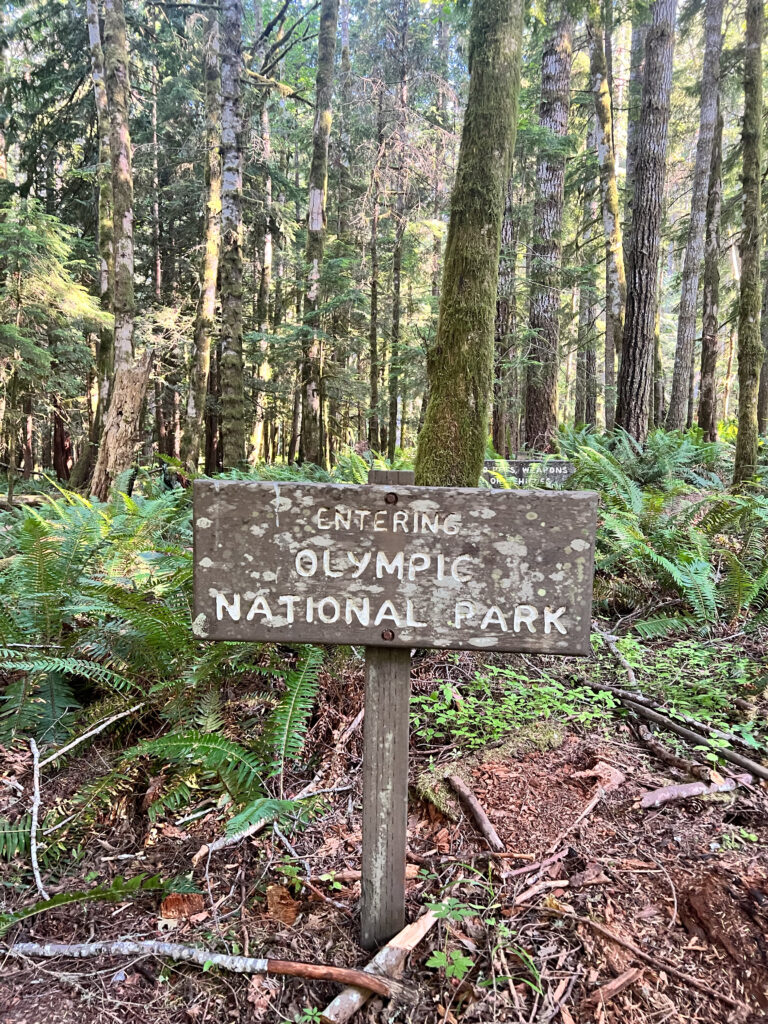 The Olympic National Park sign greets you on your trip to Olympic National Park with kids.