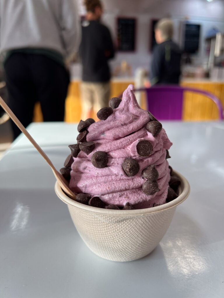 You can't visit Olympic National Park with kids without a stop at Welly's. The fruit blended ice cream with chocolate chips is as tasty as it is beautiful.