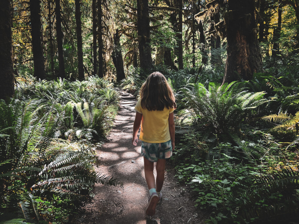 A young girl in a yellow shirt walks on an empty trail through the Olympic National Park.