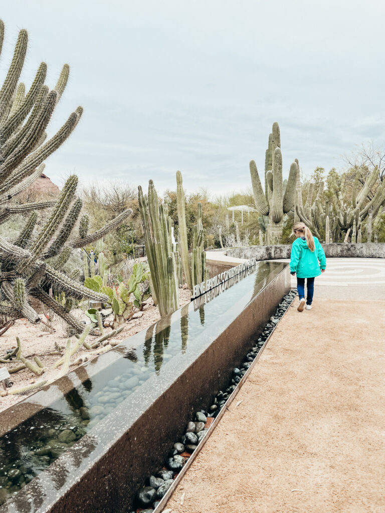 A young girl walks along a reflective pond framed by saguaro cacti.