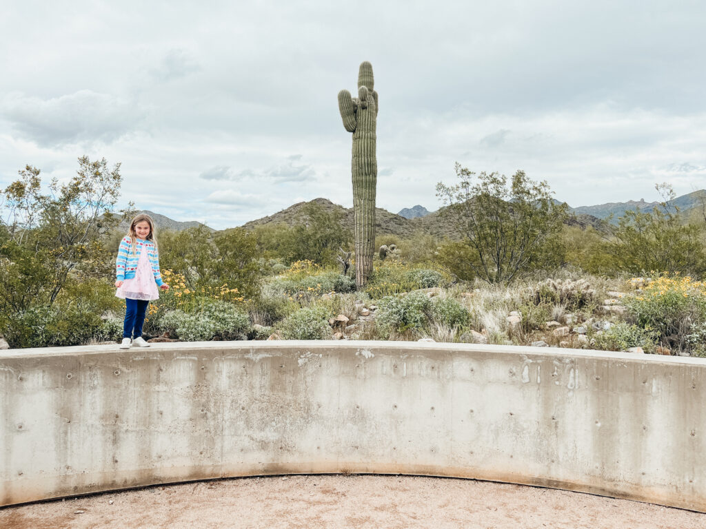 A young girl stands on a retaining walls smiles with a cactus and mountains in the background.