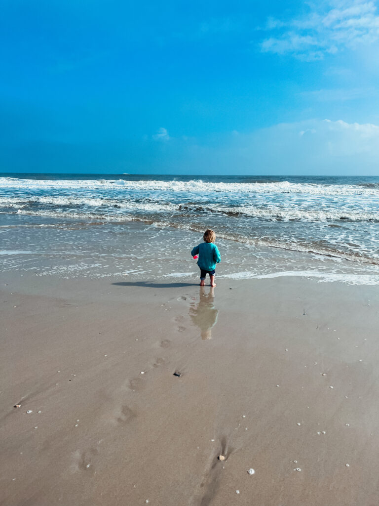 list of best things to do in jacksonville, fl with toddlers