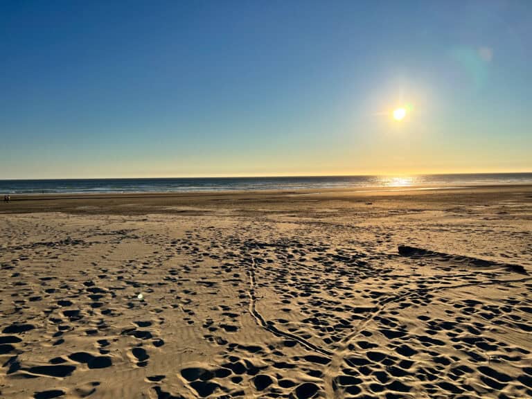 The Ultimate Guide to the Oregon Coast with Kids